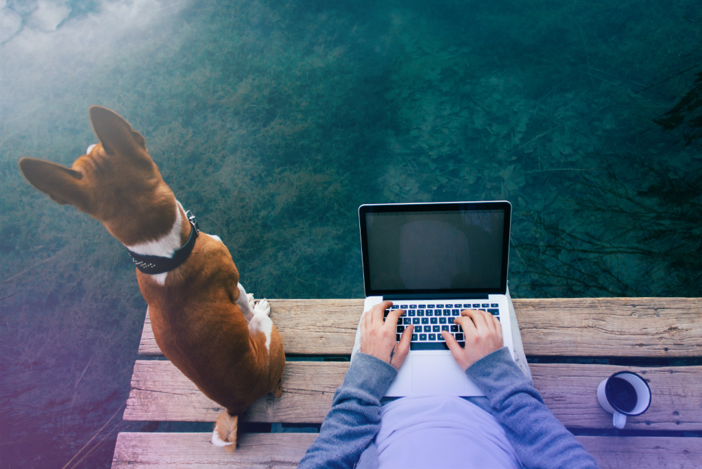 Professional PowerPoint presentations